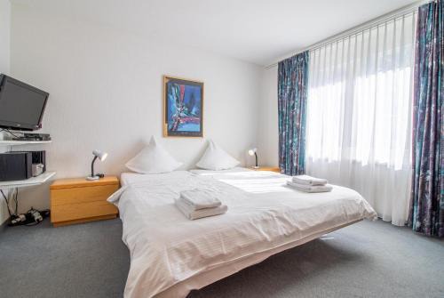 Arosa Apartment | Camana Wohnung EG