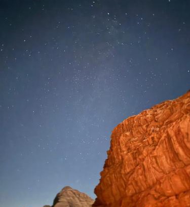 Wadi Rum Hotel | camel desert Wadi Rum