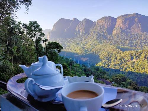 Hatton House | Camellia Mountain Villa