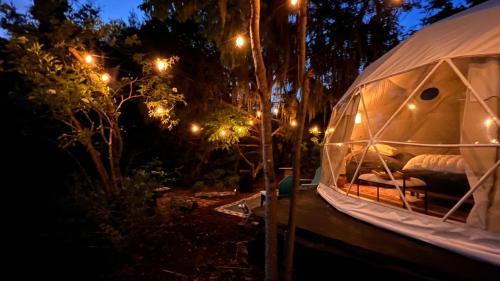 Crescent City Other | Camp Stella