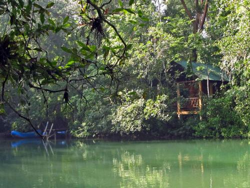 Lacanja Hotel | Campamento Rio Lacanja