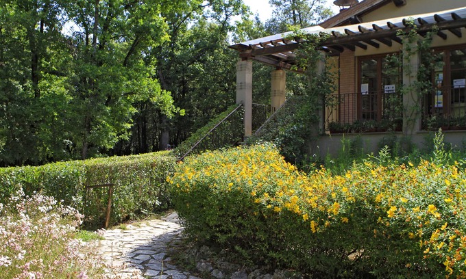 San Gimignano RV Rental | Camping Boschetto Di Piemma