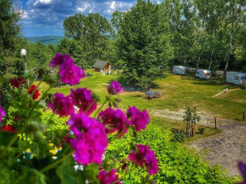 Ciofrangeni Other | Camping Dragoske