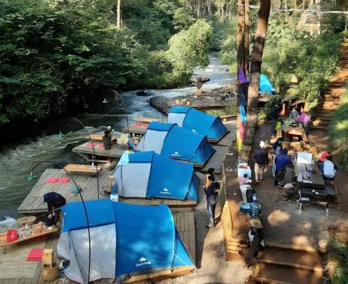 Pangalengan Other | Camping hutan pinus singkur rahong