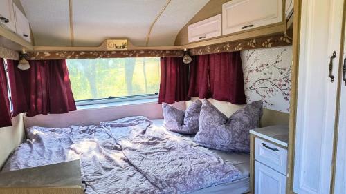 Cristolt Other | Camping Poiana Stelelor