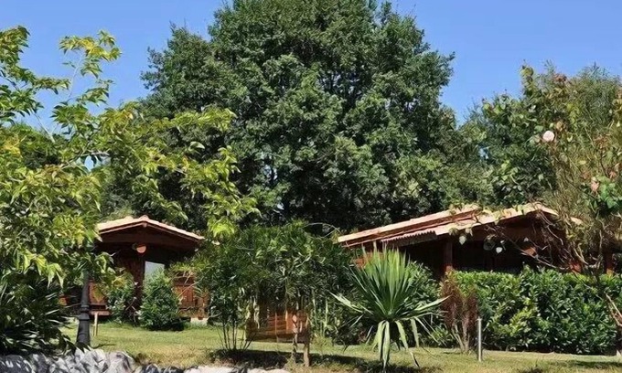 Montrejeau Ski Chalet | Campsite Midi Pyrenees * - Chalet PMR - suitable for people with reduced mobility 4 people