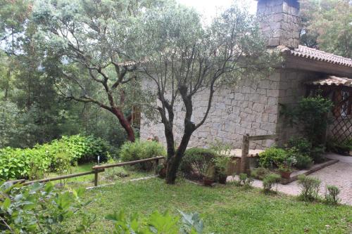 Couto de Esteves House | Cantinho do Bouço Velho