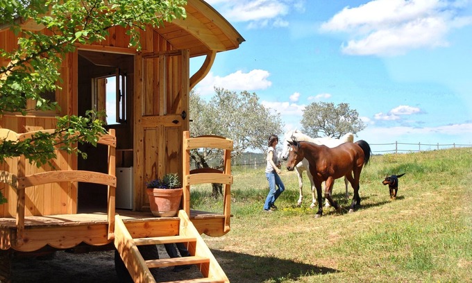 Aups Ski Chalet | Caravan in Provence near Verdon, Lake St Croix
