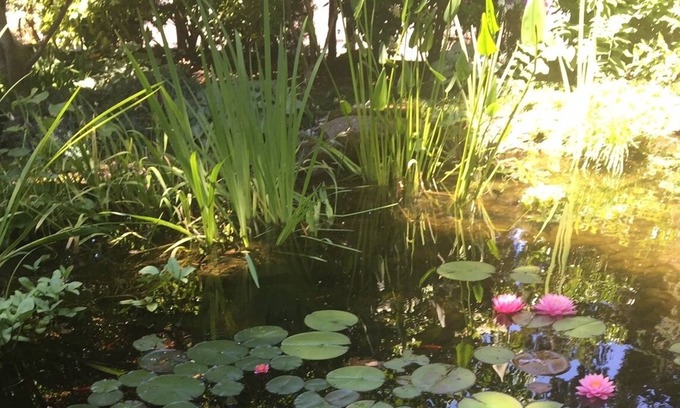 Lake Forest House | Carman Garden Bungalow