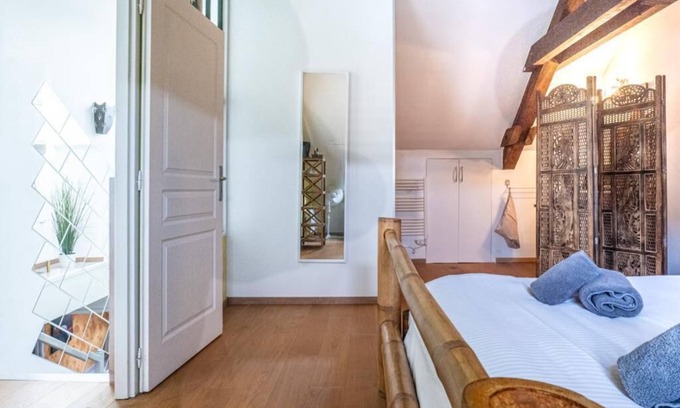Annecy Old Town Apartment | Carnot Duplex - Centre Ville - RUE Pietonne Annecy