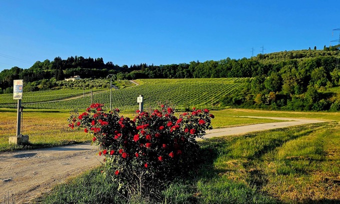 San Casciano in Val di Pesa Apartment | Casale le Lame :Syrah Apartment