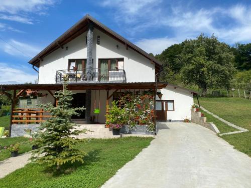 Oestii Paminteni House | Casa Alex