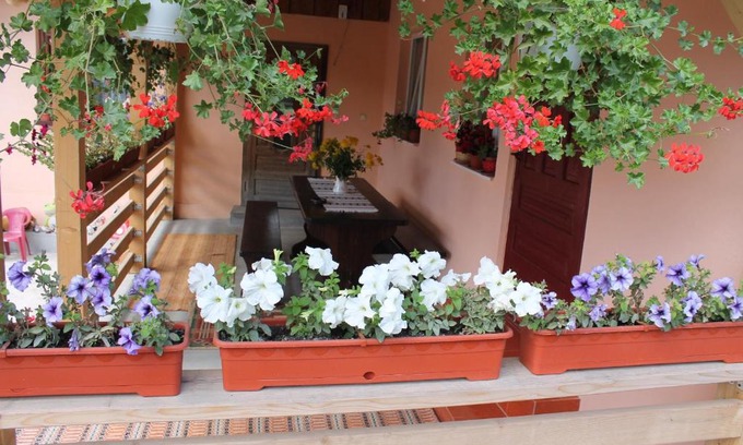 Gura Humorului House | Casa Andreia