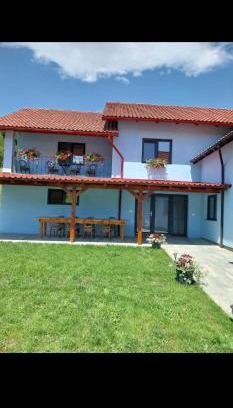 Sita Buzaului House | Casa Ardelean