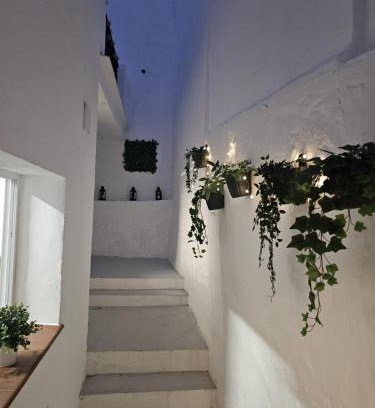 Olvera House | Casa Borete