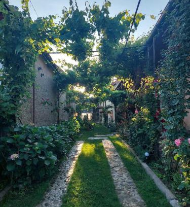 Sinca Veche House | Casa Bucium