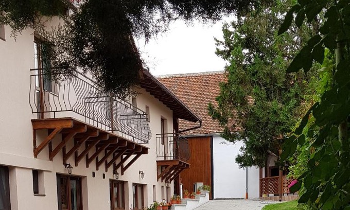 Girbova House | Casa Bunicilor