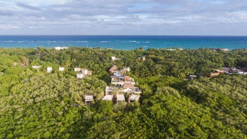 Zona Hotelera Hotel | Casa Coyote Tulum
