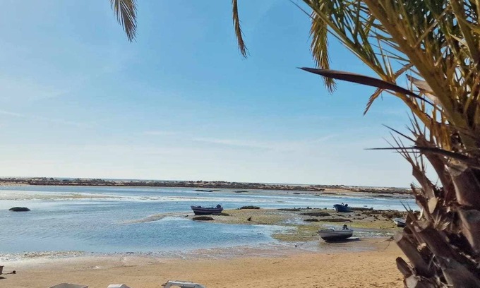 Vila Real Santo Antonio Apartment | Casa da Palmeira