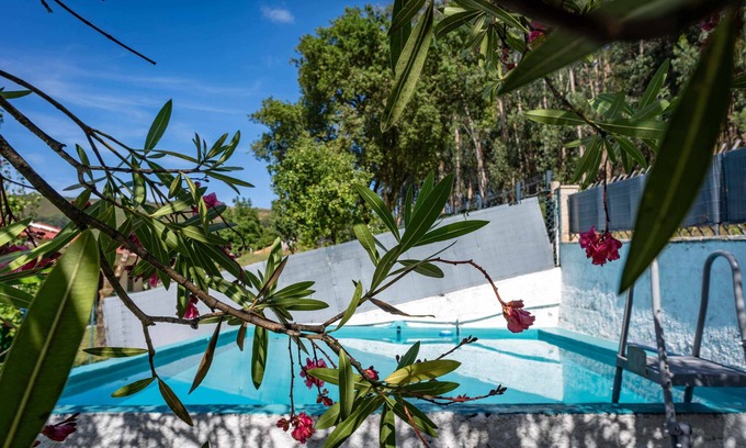Fornelos House | Casa Das Fontes Ponte de Lima - Jaccuzzi and Pool