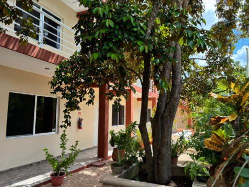 Chichen Itza - Valladolid House | Casa del cenote