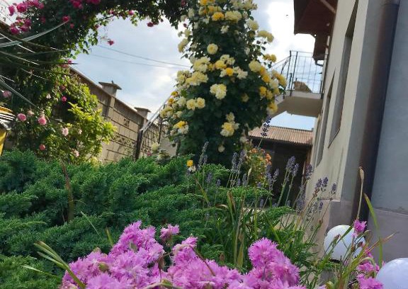 2 Mai House | CASA DENIZ