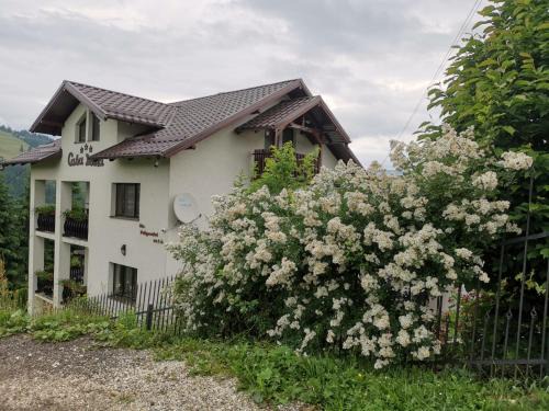 Vatra Dornei House | Casa Doina