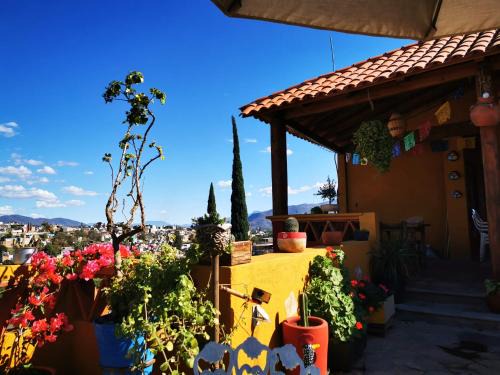 Oaxaca House | Casa Donaji