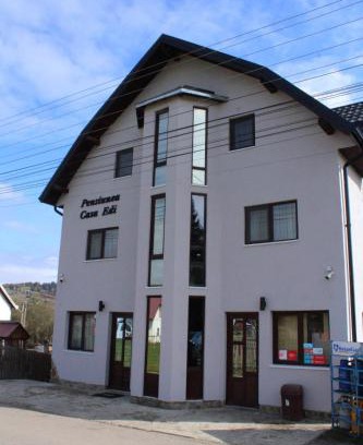 Dorna Candrenilor House | Casa Edi