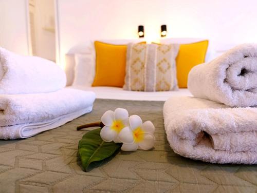 Brena Baja Apartment | Casa El Drago 6