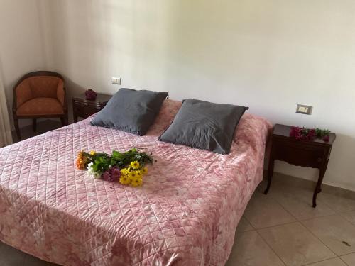 Pisa Apartment | Casa Elena