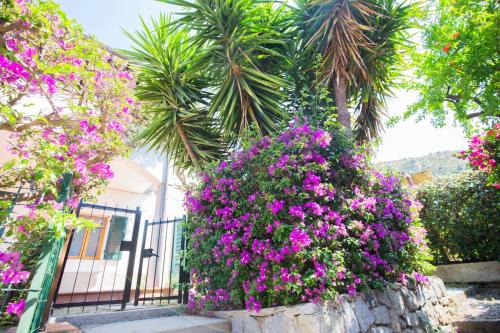 Fetovaia House | Casa Fetovaia - HelloElba