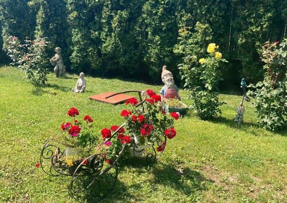 Bacau County House | Casa Flavia