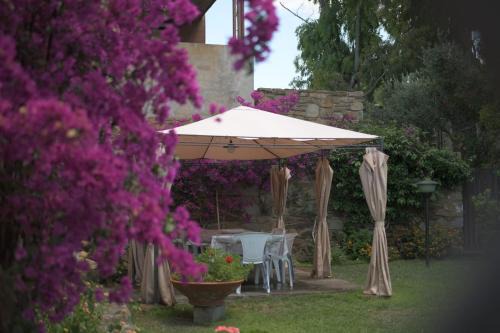 Punta Ala House | Casa Gori
