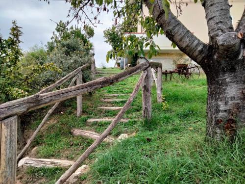 Tortoreto Bed & Breakfast | Casa il Canto