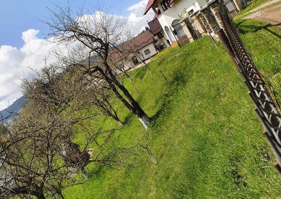 Moldovita Villa | Casa Ioana