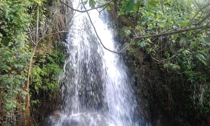 El Bosque House | Casa La Cascada
