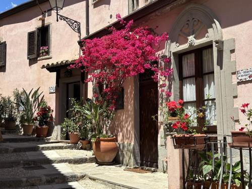 Forza d'Agro House | Casa Lina Bouganville