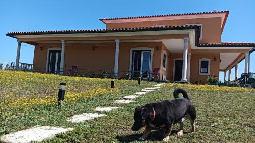 Pombal House | Casa Londrino