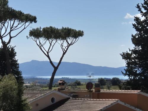 Montiano Apartment | Casa Margot