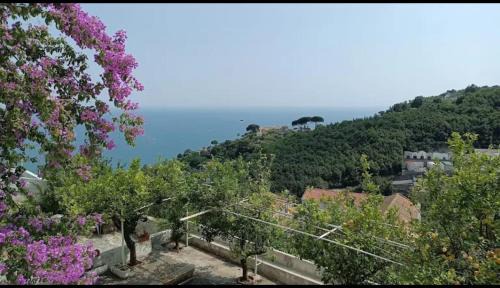 Benincasa Bed & Breakfast | Casa Nina' tradicional Amalfi Coast Villa Retreat