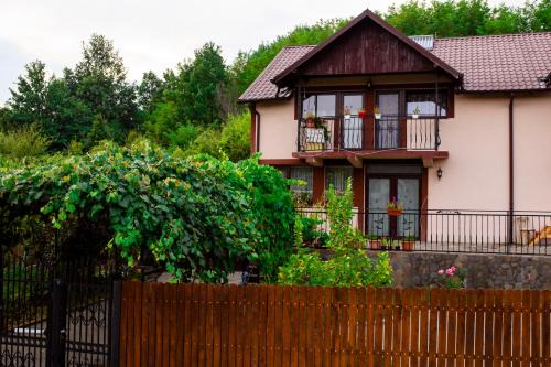 Budesti Villa | Casa NITU