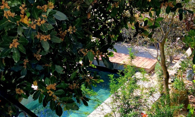 Santo-Pietro-di-Tenda Villa | Casa Olmu and its garden in the heart of Conca D'oru, charming apartment