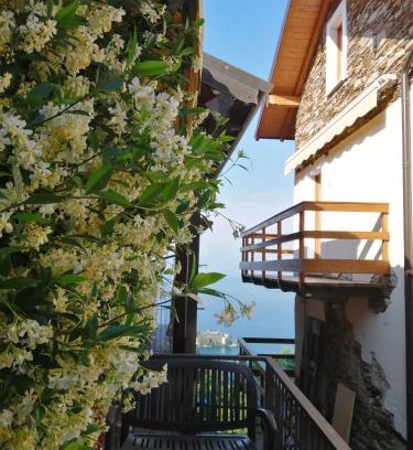 Someraro House | Casa Orfea