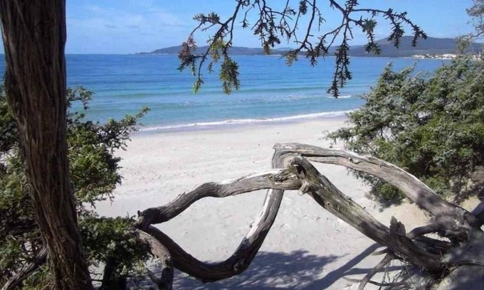 Lido House | CASA PAOLI: apartment near the Lido beach, 5 people