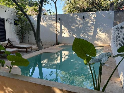 Centro Hotel | Casa Ramona