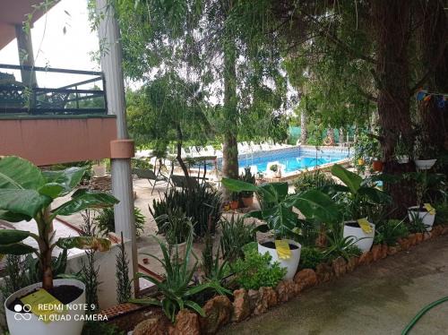 Camarles House | Casa Rural COMPLEX MASIA DEL TREMENDO y Agroturismo
