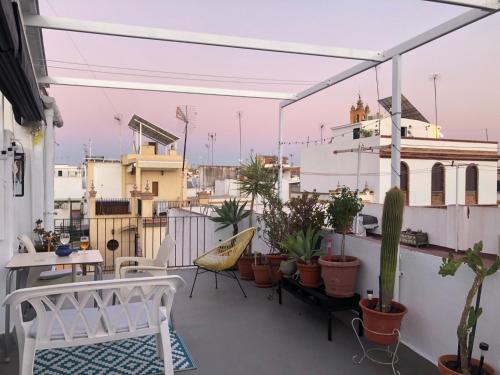 San Lorenzo Apartment | Casa Teo