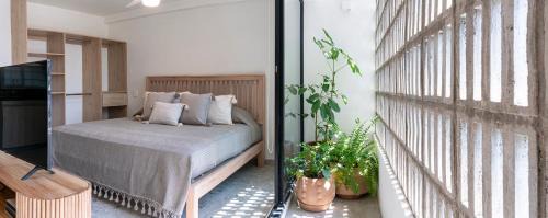 Santa Teresita Apartment | Casa Teresa by Barrio México