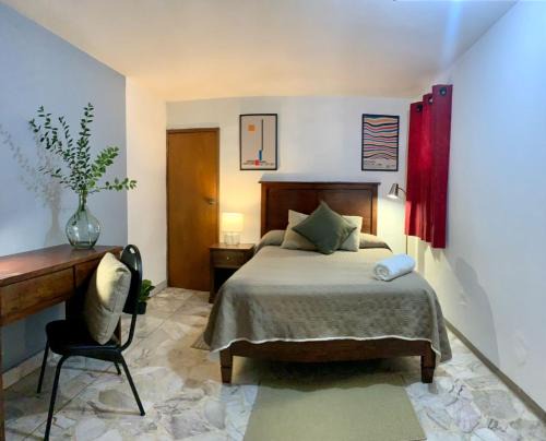 Colonia Cuauhtemoc House | Casa Tigris